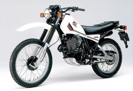 xt550wt81.jpg