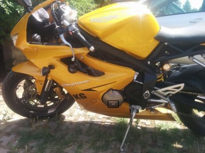 imgpsh_fullsize_anim (2).jpg