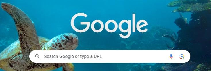 Screenshot from 2024-07-06 10-55-25.jpg