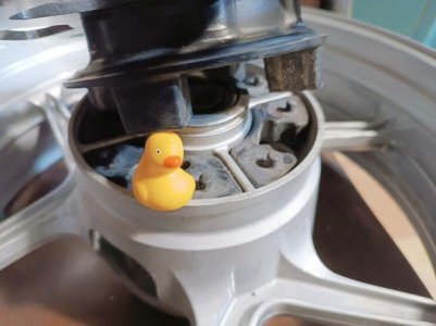 IMG_20260225_195543 (1).jpg