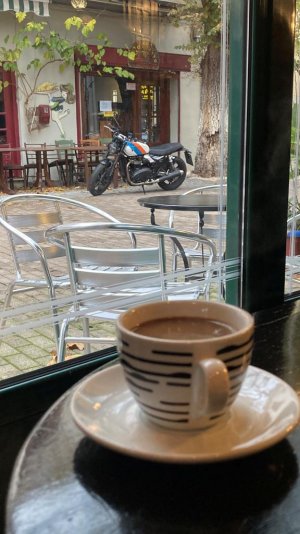 vilia_lower quality 80.jpg